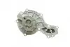 Помпа води Audi A4/A6/VW Passat 1.6/1.8/1.8T/quattro 94-05 AUTOMOTIVE TRUCKTEC 07.19.082 (фото 8)