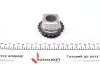 Комплект ГРМ (ланцюг + елементи) BMW TRUCKTEC 0812074 (фото 7)