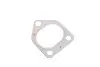 Коллектор выпускной BMW X5 (E53) 3.0 TD 00-07 M57 D30 AUTOMOTIVE TRUCKTEC 08.16.013 (фото 10)