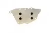 Радіатор масляний BMW 1 (F20/F21)/2 (F45) 1.5/2.0D 15- B37/B38/B46/B48 AUTOMOTIVE TRUCKTEC 08.18.032 (фото 4)
