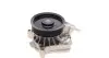 Помпа води BMW 3 (E90/E91/E92) 06-13/X3 (E83) 04-10 AUTOMOTIVE TRUCKTEC 08.19.236 (фото 6)