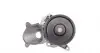 Помпа води BMW 3 (E46/E90/F30/F80)/5 (E60/F10)/7 (E65-E67/F01-F04)/X5 (E53/E70/F15/F85) 04-18 AUTOMOTIVE TRUCKTEC 08.19.263 (фото 4)