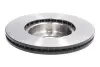 Диск тормозной (1 шт.).) MAZDA Mazda3 &quot;F D=295mm &quot;13&gt;&gt; TRW DF6731 (фото 1)