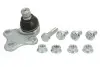 Шаровая опора CITROEN - PEUGEOT Berlingo/Xsara/Xsara Picasso/ZX/Partner TRW JBJ706 (фото 1)