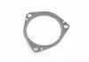 Прокладка системы ОГ VW Touareg 3.0 (18-)/Audi Q8 (19-), Q7 (16-) VAG 8E0253115C (фото 1)