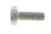 Болт М6*16 внутр. TORX кришки РКПП DQ250 VAG N 104 514 05 (фото 1)