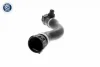 PRZEWУD GUM UKЈ CHЈODZ V20-3322 BMW 1 F20 F21 2 F22 F87 F23 3 F30 F80 3 F31 3 GRAN TURISMO F34 4 F32 F82 F33 F83 GRAN COUPE F36 3,0 11- VAICO V203322 (фото 4)