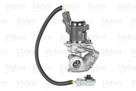 Клапан EGR Valeo 700412