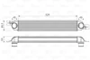 Інтеркулер (без клапана AGR) OPEL MERIVA A 1.3D/1.7D 09.03-05.10 Valeo 818661 (фото 1)
