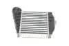 Радіатор інтеркулера VW Golf/Bora/Skoda Octavia/Seat Leon 1.9TDI 00-10 Van Wezel 03004354 (фото 5)