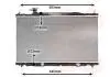 Радіатор, охолодження двигуна Van Wezel 25002226 (фото 1)