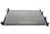Радіатор охолодження Renault Megane II/ Scenic II 02-09 Van Wezel 43002307 (фото 1)