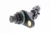 Датчик положення розподільчого валу FORD B-MAX, C-MAX II, ECOSPORT, FIESTA VI, FIESTA VII, FOCUS III, FOCUS III/HATCHBACK, FOCUS III/KOMBI, FOCUS IV, GRAND C-MAX, MONDEO V 1.0-1.5 02.12- VEMO V25721186 (фото 6)