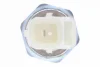 Датчик тиску масла (1 pin, білий, (EN) for gauge) FORD USA EDGE, EXPLORER, F-150, FUSION, MUSTANG, RANGER, TAURUS, TRANSIT-150, TRANSIT-250, TRANSIT-350 1.5-6.2 10.96- VEMO V25730109 (фото 2)