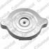 Бачок расширительный MB E-class (W124) 93-95 Vernet ET0116C1 (фото 2)