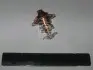 Термостат Nissan Almera/Primera/Sunny/ Toyota Avensis/Camry/Cariba/Corolla 1.8-2.8 82- (82C) Vernet TH3357.82 (фото 2)