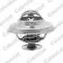 Термостат системи охолодження Vernet TH5973.71J (фото 1)