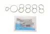 Прокладка колектора впускного Fiat Doblo 1.6D 10- (к-кт) REINZ VICTOR REINZ 11-40692-01 (фото 2)