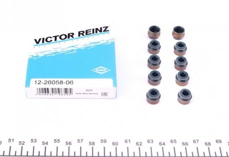 Сальник клапана (впуск/випуск) VW T5 2.5 TDI 03-10 (к-кт) VICTOR REINZ 12-26058-06 (фото 1)