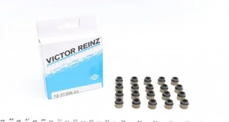 Сальник клапана (впуск/випуск) VW Passat 96-05 (к-кт 20шт) REINZ VICTOR REINZ 12-31306-03