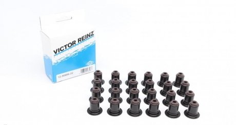 Комплект сальників клапанів VICTOR REINZ 12-36866-02 (фото 1)