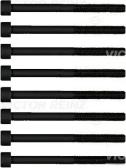 Набір болтів ГБЦ SUBARU LEGACY IV, LEGACY VI, OUTBACK, TRIBECA 3.0/3.6 09.03- VICTOR REINZ 141160501