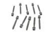 Болты головки (к-кт 10шт).) Audi 100/A4/VW Polo/Golf 1.3-2.0 90- (96mm) REINZ VICTOR REINZ 14-32046-01 (фото 2)