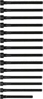 Болты головки (к-кт 14шт).) BMW X3 E83/X5 E70/130i/E81/330i E92 N52 3.0 04-, N51-N53 REINZ VICTOR REINZ 14-32315-01