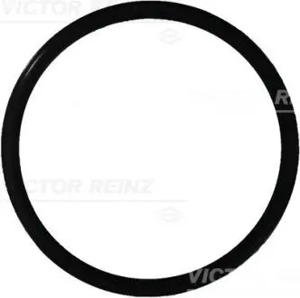 Автозапчасть VICTOR REINZ 407616500