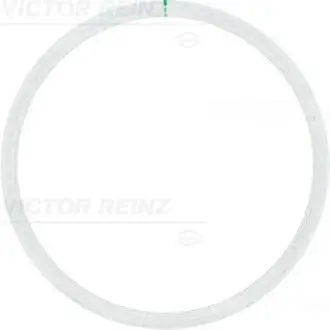 Кольцо металлическое VICTOR REINZ 61-25315-10