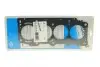Прокладка ГБЦ Fiat Doblo/ Opel Combo 1.4 10- (0.72mm) REINZ VICTOR REINZ 61-38835-00 (фото 1)