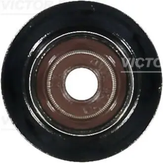 Сальник клапана (впуск/випуск) BMW 5 (G30/F90) 17- B48 B16 REINZ VICTOR REINZ 70-36866-00