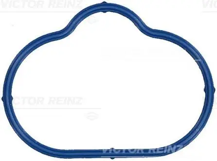 Прокладка впускного колектора JAGUAR XJ, XK 8 3.2/4.0 03.96-07.05 VICTOR REINZ 711751800
