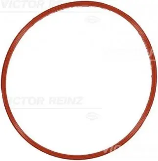 Прокладка колектора впускного Audi Q7/Q8/VW Touareg 3.0 TDI 15- REINZ VICTOR REINZ 71-18338-00