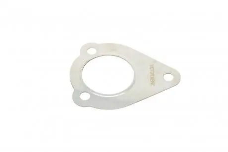 Прокладка трубы выхлопной системы AUDI/SEAT/SKODA/VW 1,9TDi 95- VICTOR REINZ 713384100