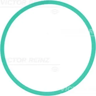 Прокладка впускного колектора VICTOR REINZ 713930200