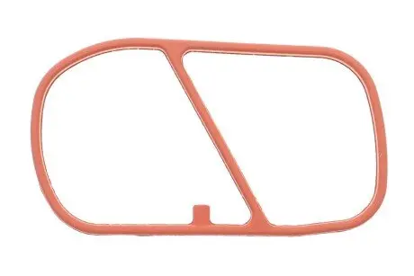 Прокладка колектора впускного Fiat Doblo/Opel Combo 1.3JTD 05- REINZ VICTOR REINZ 71-39538-00