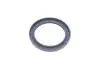 Сальник 72X96X9 HYUNDAI/MITSUBISHI VICTOR REINZ 815330600 (фото 3)