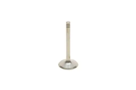 Клапан впускной VW Golf (84-98),Jetta (84-92),Passat (88-97),T4 (91-04)/Seat Ibiza (93-96),Toledo (92-96) Vika 11090177201