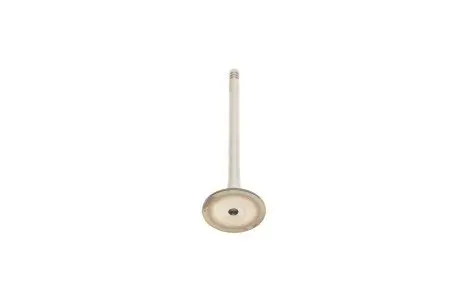 Клапан выпускной Skoda Octavia (96-00)/VW Golf (97-05)/Audi A4 (94-01),A6 Vika 11090217001