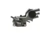 Термостат із корпусом VW Caddy (96-03),Polo (95-02)/Seat Ibiza (99-02) Vika 11210377101 (фото 4)