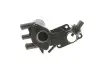 Термостат із корпусом VW Caddy (96-03),Polo (95-02)/Seat Ibiza (99-02) Vika 11210377101 (фото 5)