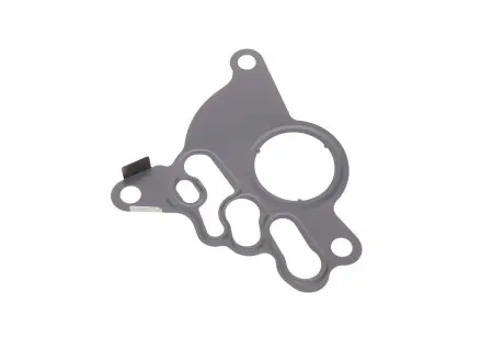 Прокладка паливного насоса Skoda Octavia (04-13)/VW Golf (04-09),Jetta (06-11),Passat (06-11)/Audi A4 (05-08),A6 (05-08) Vika 11450886601