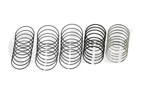 Комплект поршневых колец 2,4L/3,0L 81 мм (на 6 поршней) Audi A4 (01-04),A6 (97-05) Vika 11981631901