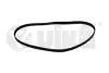 Ремень поликлиновой 5PK1220 Skoda Fabia (00-04),Felicia (95-01)/VW Caddy (97-01),Polo (95-02) Vika 19030585501 (фото 1)