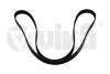 Ремінь поліклінової 6PK1877 Skoda Fabia (00-)/VW Polo (02-)/Seat Cordoba (03-05),Ibiza (02-05) Vika 21450593101 (фото 1)