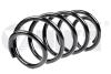 Пружина підвіски передня Skoda Octavia/VW Golf V,VI, Touran (03-15) Vika 44111609801 (фото 1)