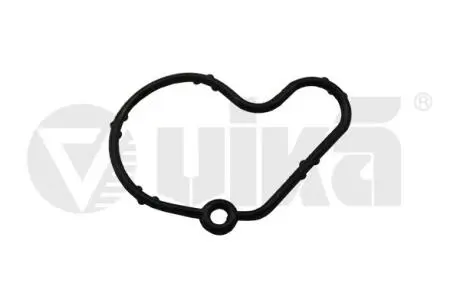 Прокладка насосу вакуумного Skoda Fabia (00-08),Octavia (97-11)/VW Caddy (96-03),Golf (96-03),Polo (02-10) Vika 61450807001