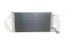 Радіатор кондиціонера Skoda Fabia (15-),Rapid (13-),Rapid 12-/VW Polo (15-18,21-)/Seat Ibiza (16-17),Toledo (16-19) Vika 88161633601 (фото 1)
