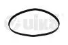 Ремінь поліклінової 6PK1080 Skoda Fabia (00-10,11-),Octavia (97-11)/VW Caddy (97-01),Golf (03-07),Polo (02-) Vika 91450860301 (фото 1)